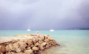 La martinique par V. RIS