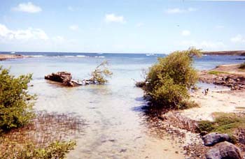 La martinique par V. RIS