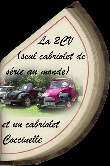 Coccinelle et 2CV par Philippe RIS